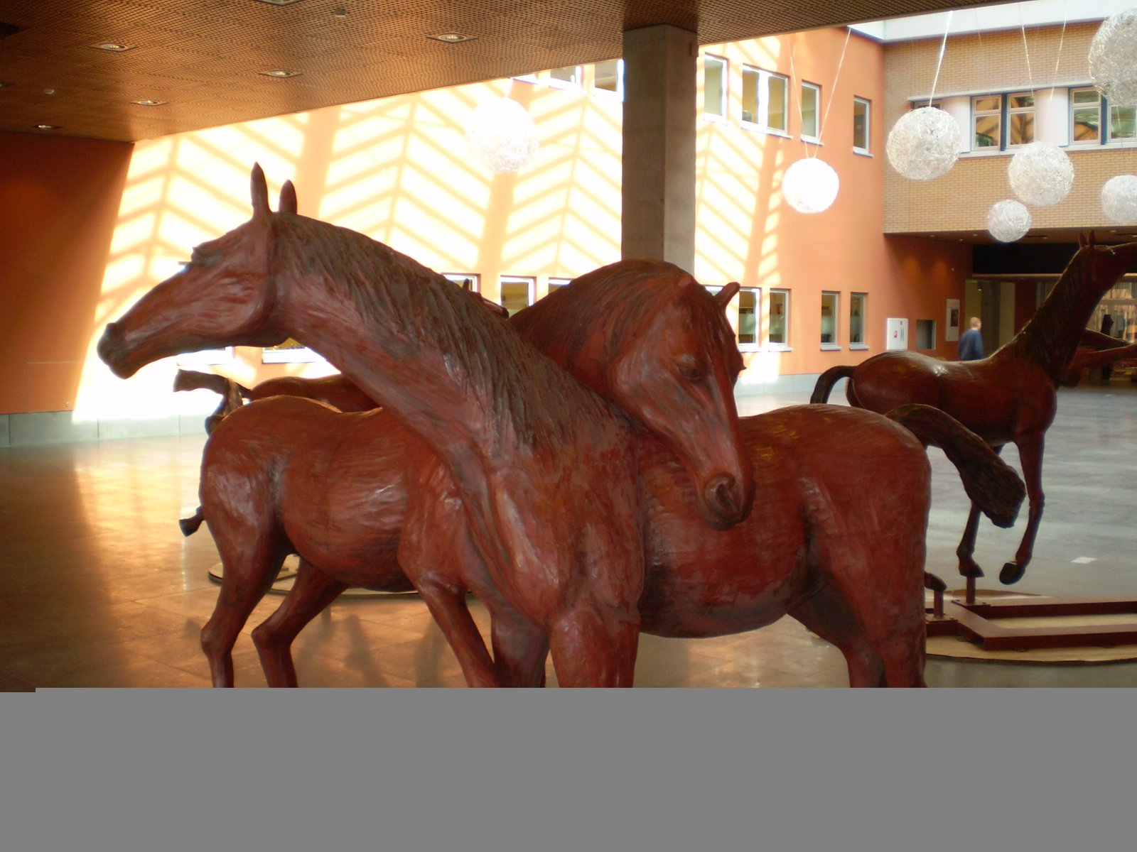 paarden